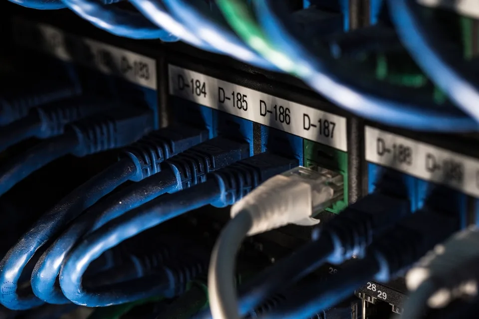 Cables de red conectados a los equipos de un rack de servidores
